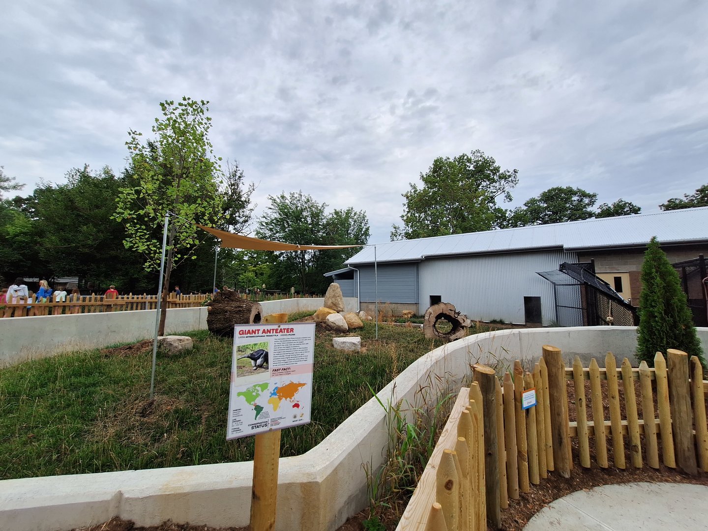Giant Anteater exhibit