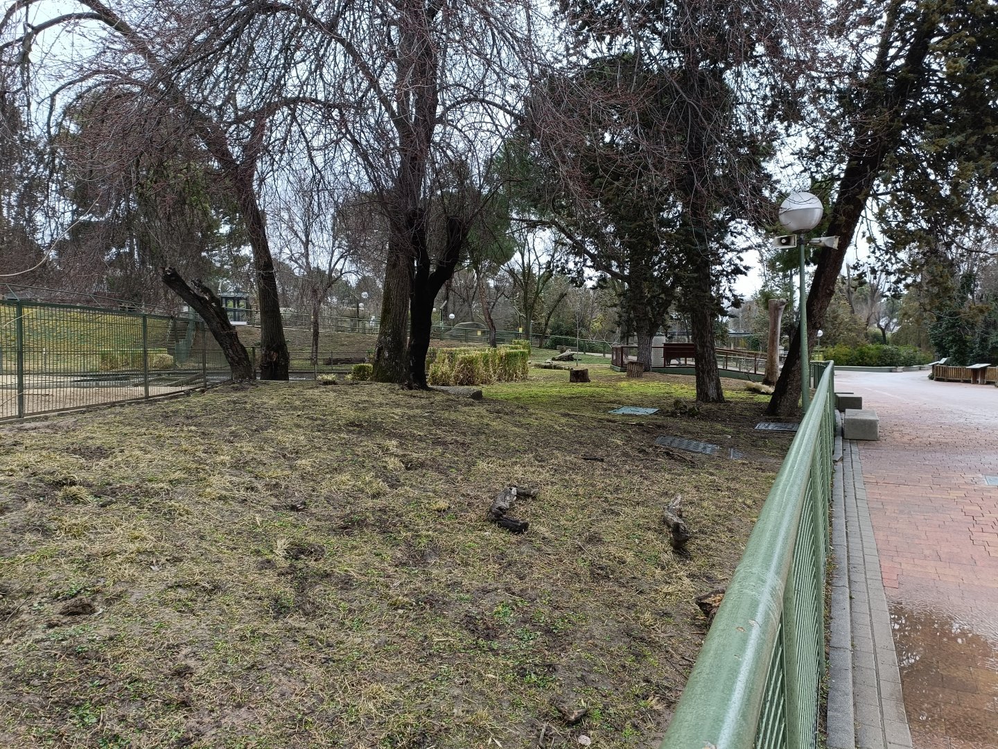 Giant anteater exhibit
