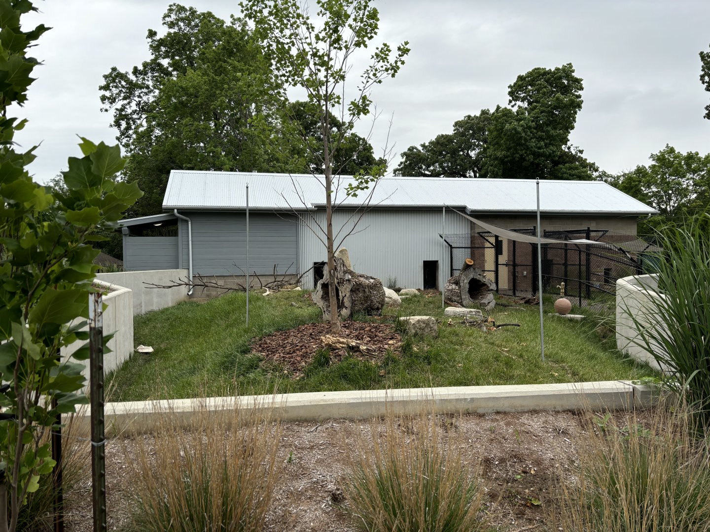 Giant Anteater Exhibit
