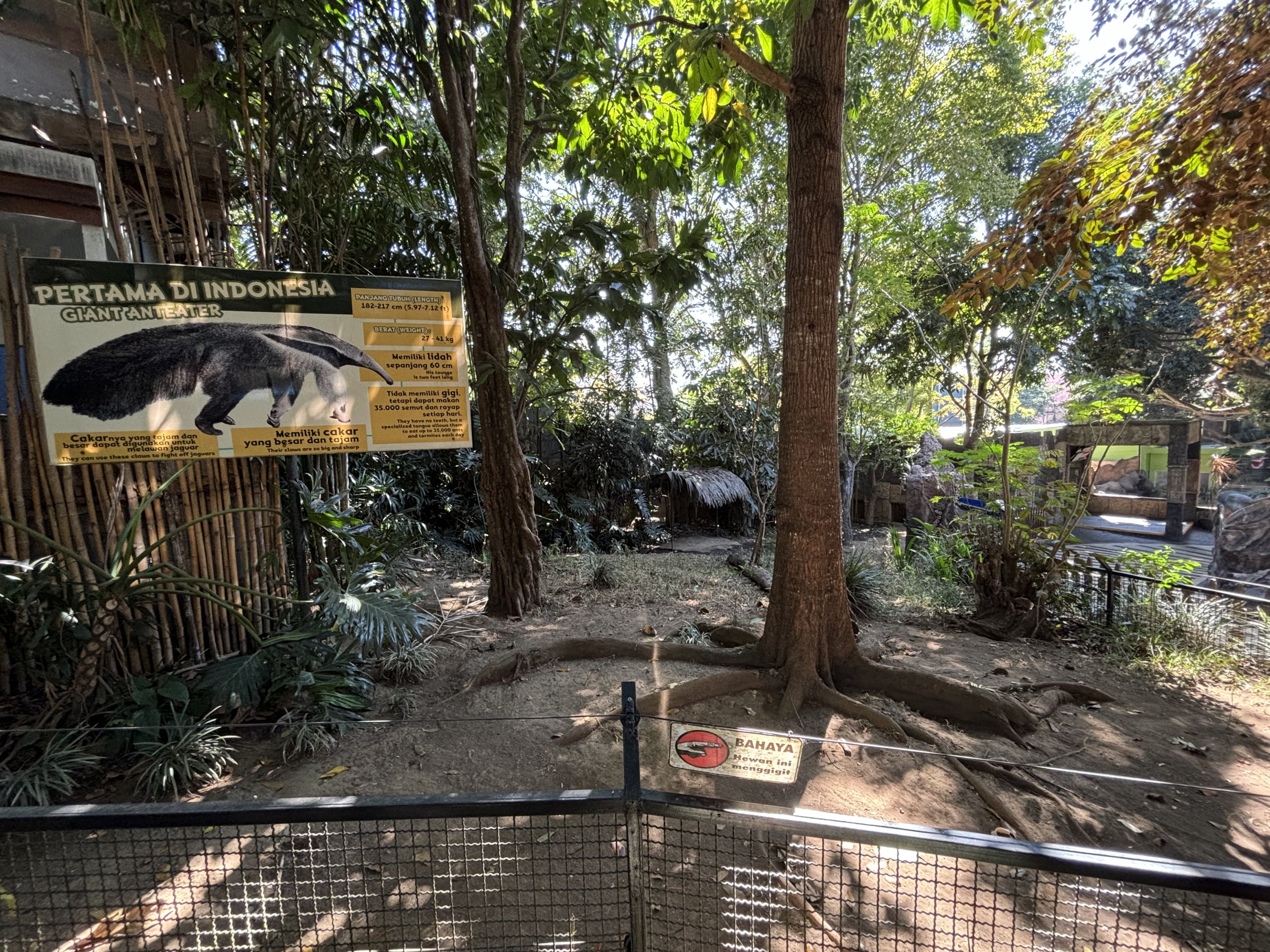 Giant Anteater Exhibit