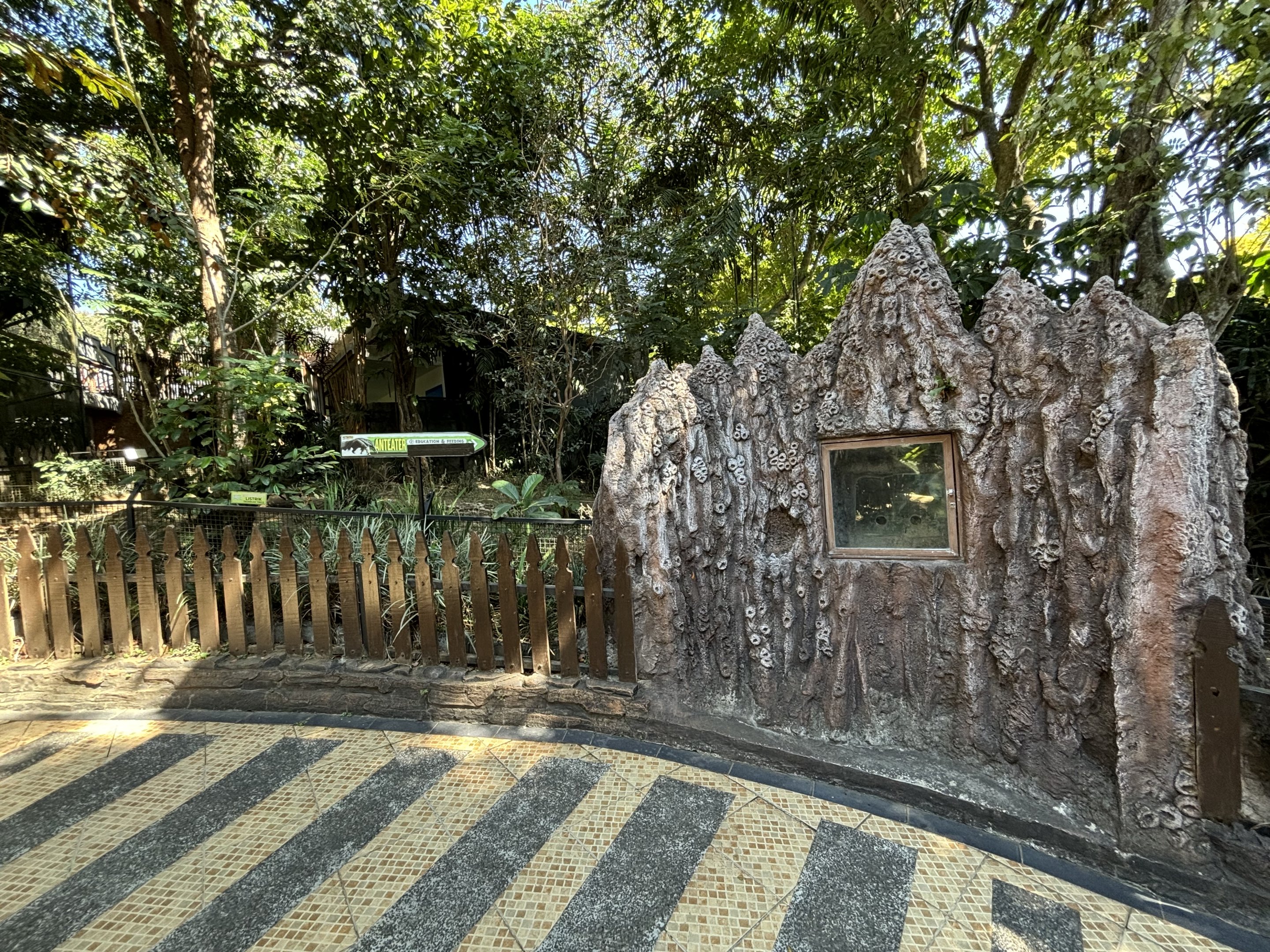 Giant Anteater Exhibit