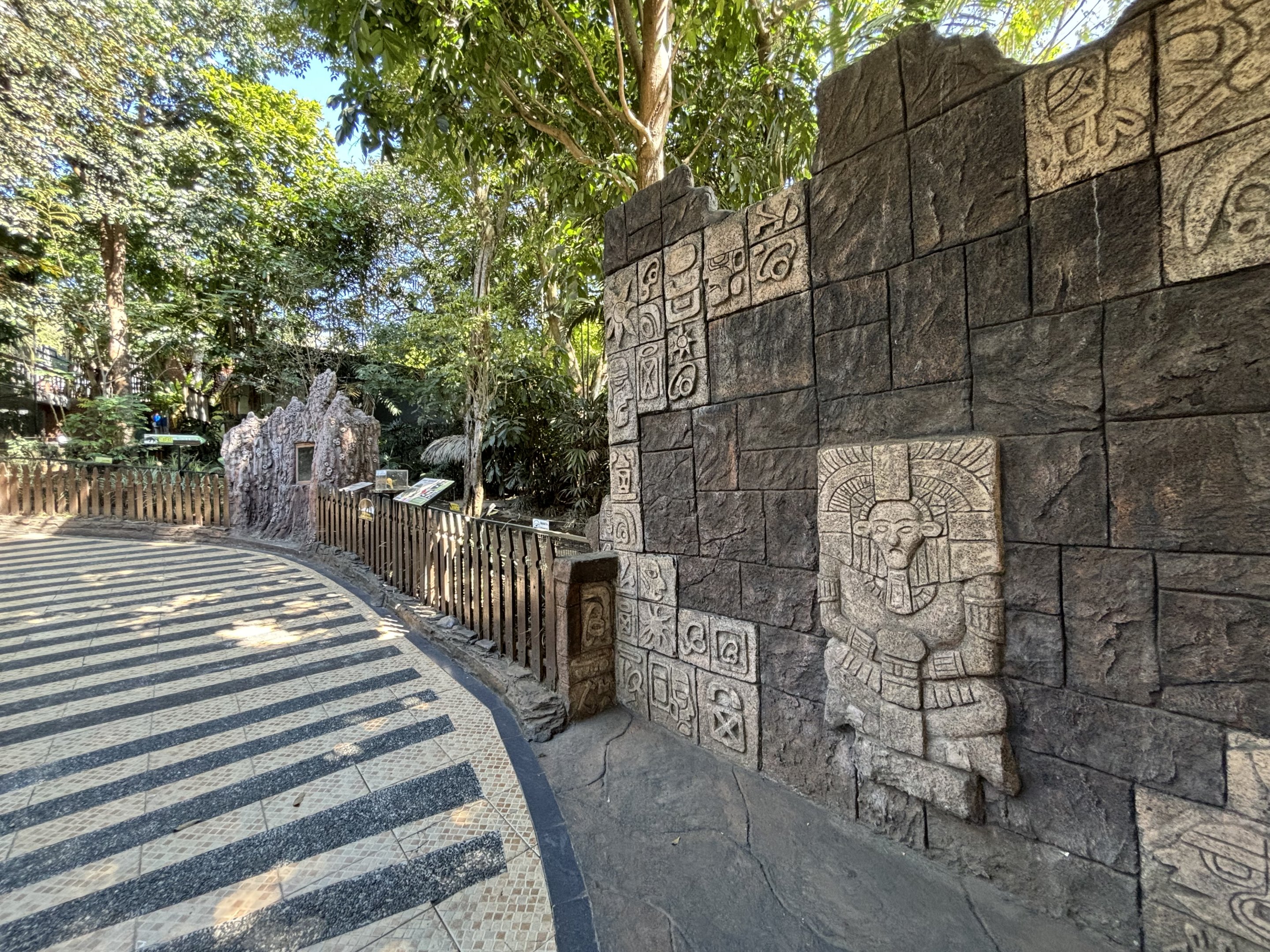 Giant Anteater Exhibit