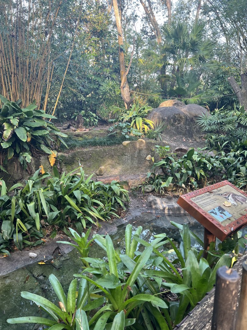 Giant Anteater Exhibit