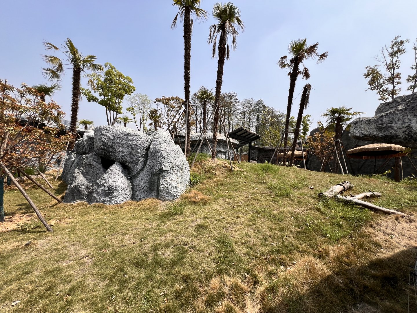 Giant Anteater Exhibit