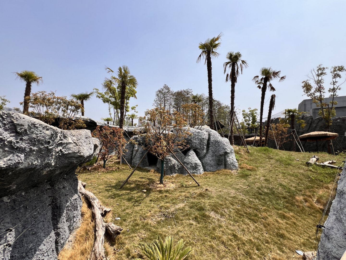 Giant Anteater Exhibit