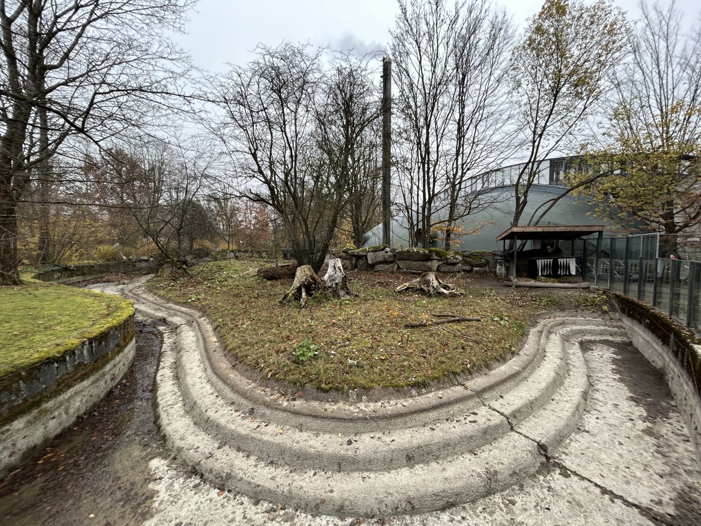 Giant Anteater Exhibit