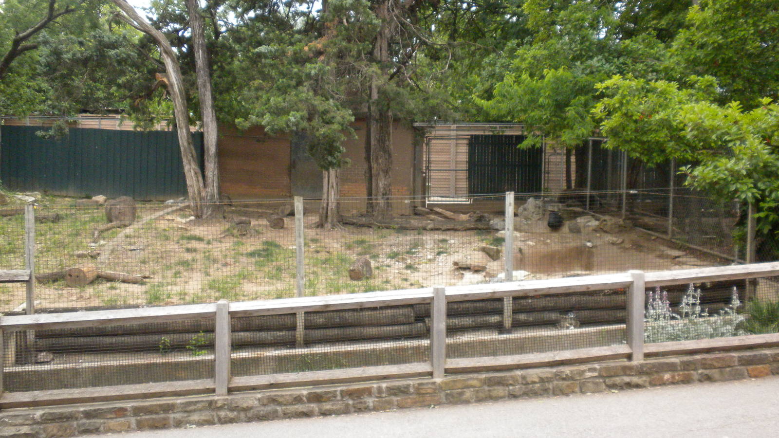 Giant Anteater exhibit