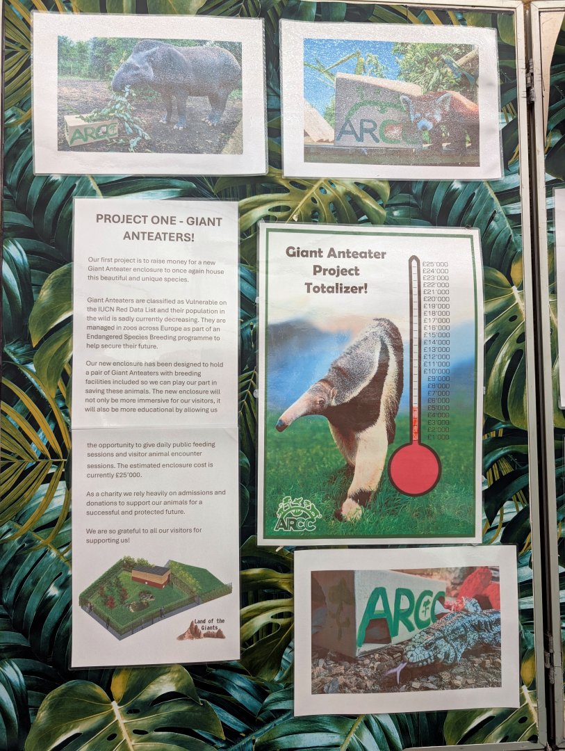 Giant Anteater Fundraising Display