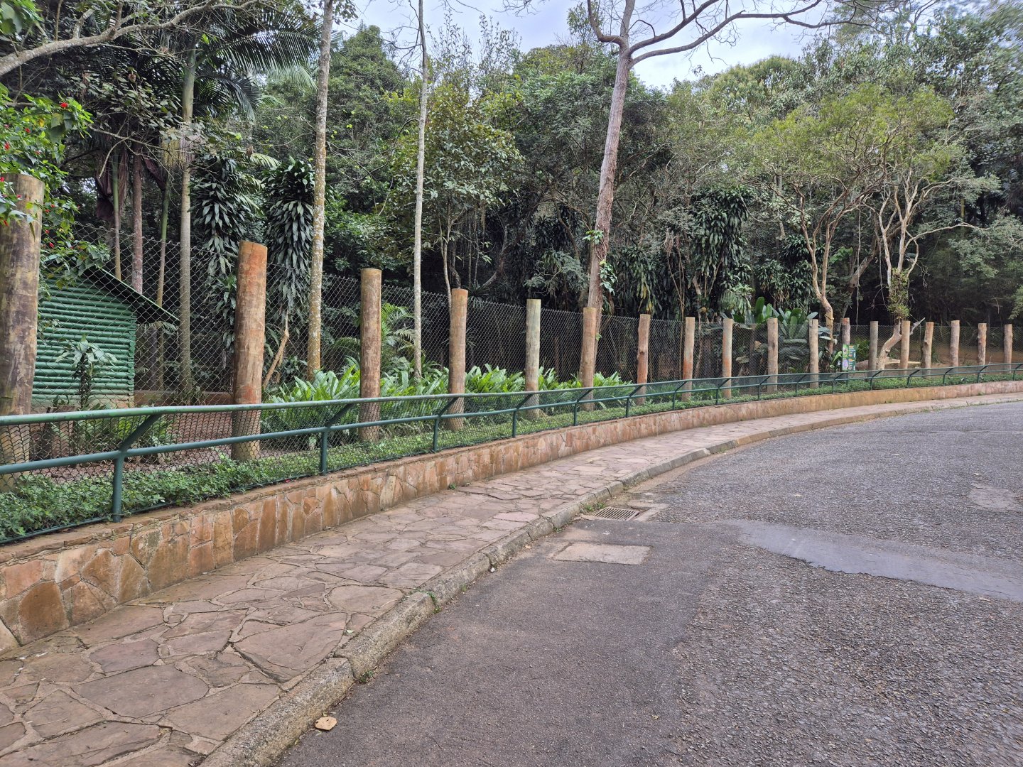 Giant Anteater/ Gray Brocket exhibit