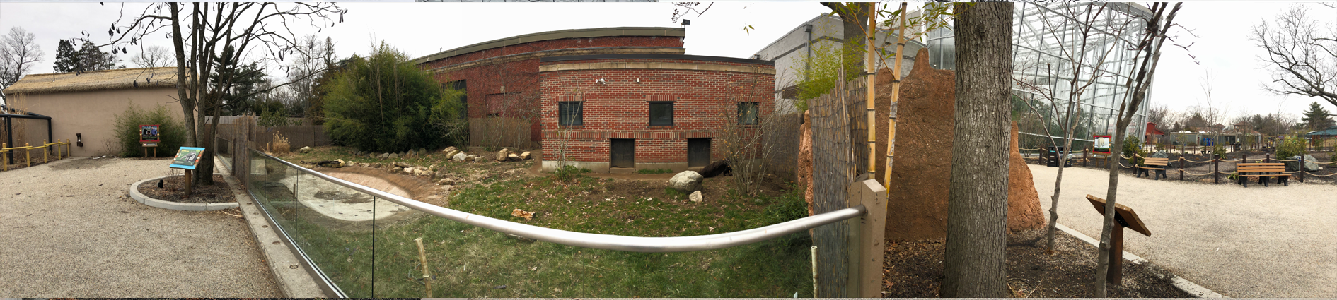 Giant Anteater Habitat Panorama - Feb, 2020