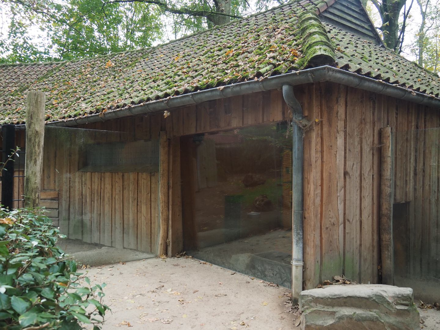 Giant anteater house and viewing areas, 2020-10-19