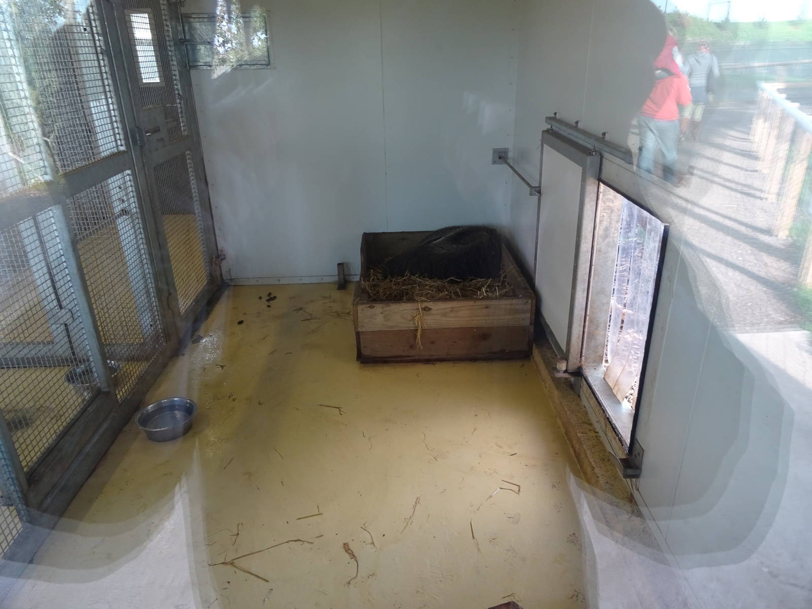 Giant Anteater House Interior at Yorkshire Wildlife Park