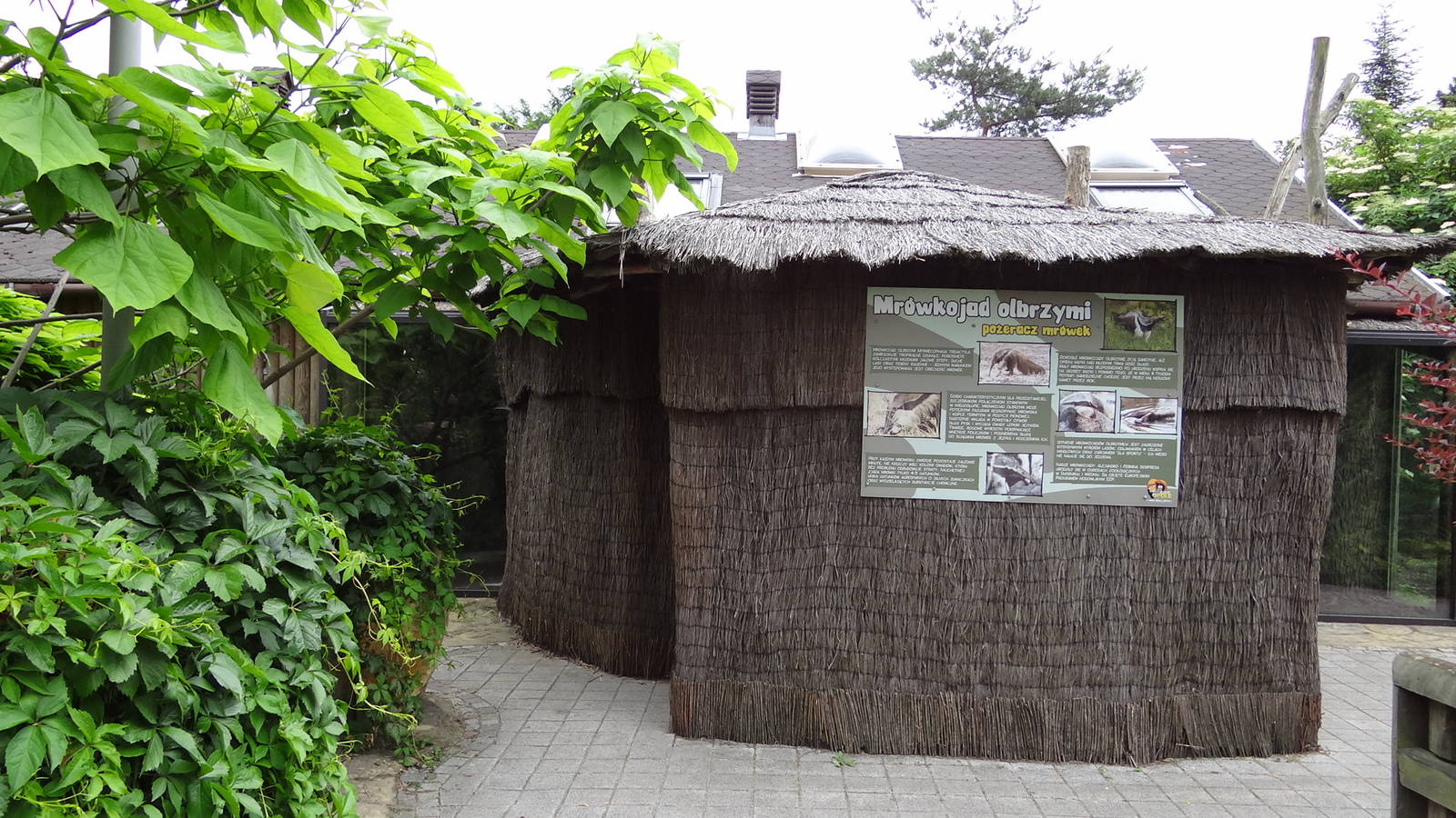 Giant Anteater house