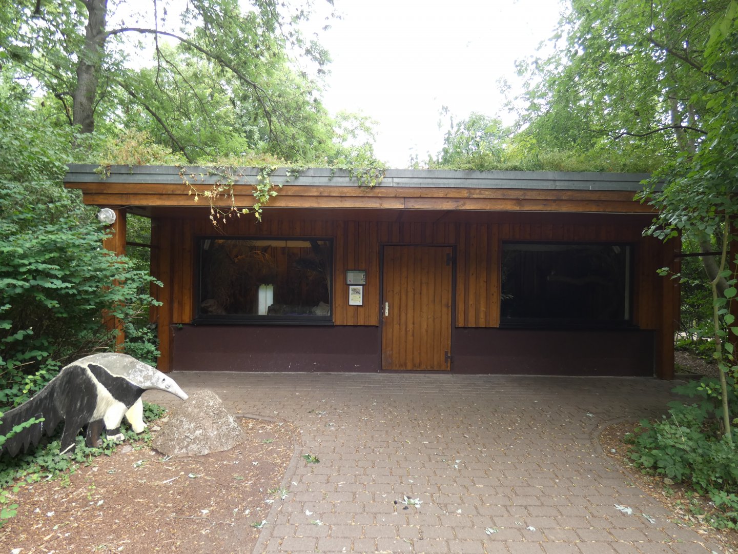 Giant Anteater house