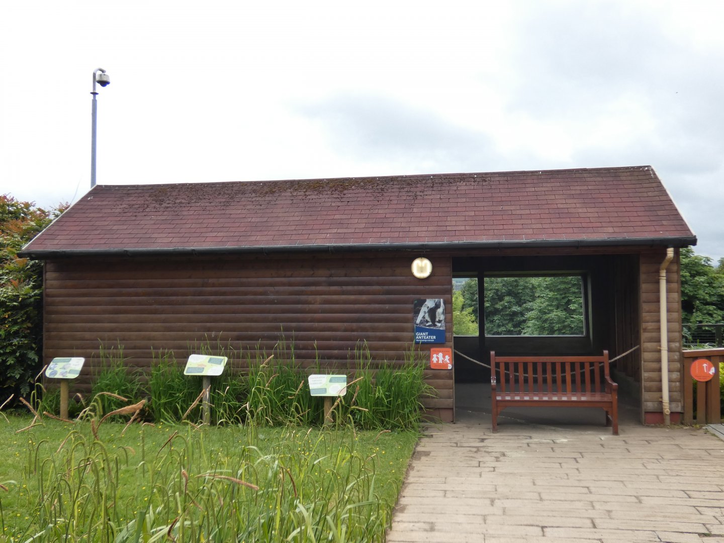 Giant anteater house