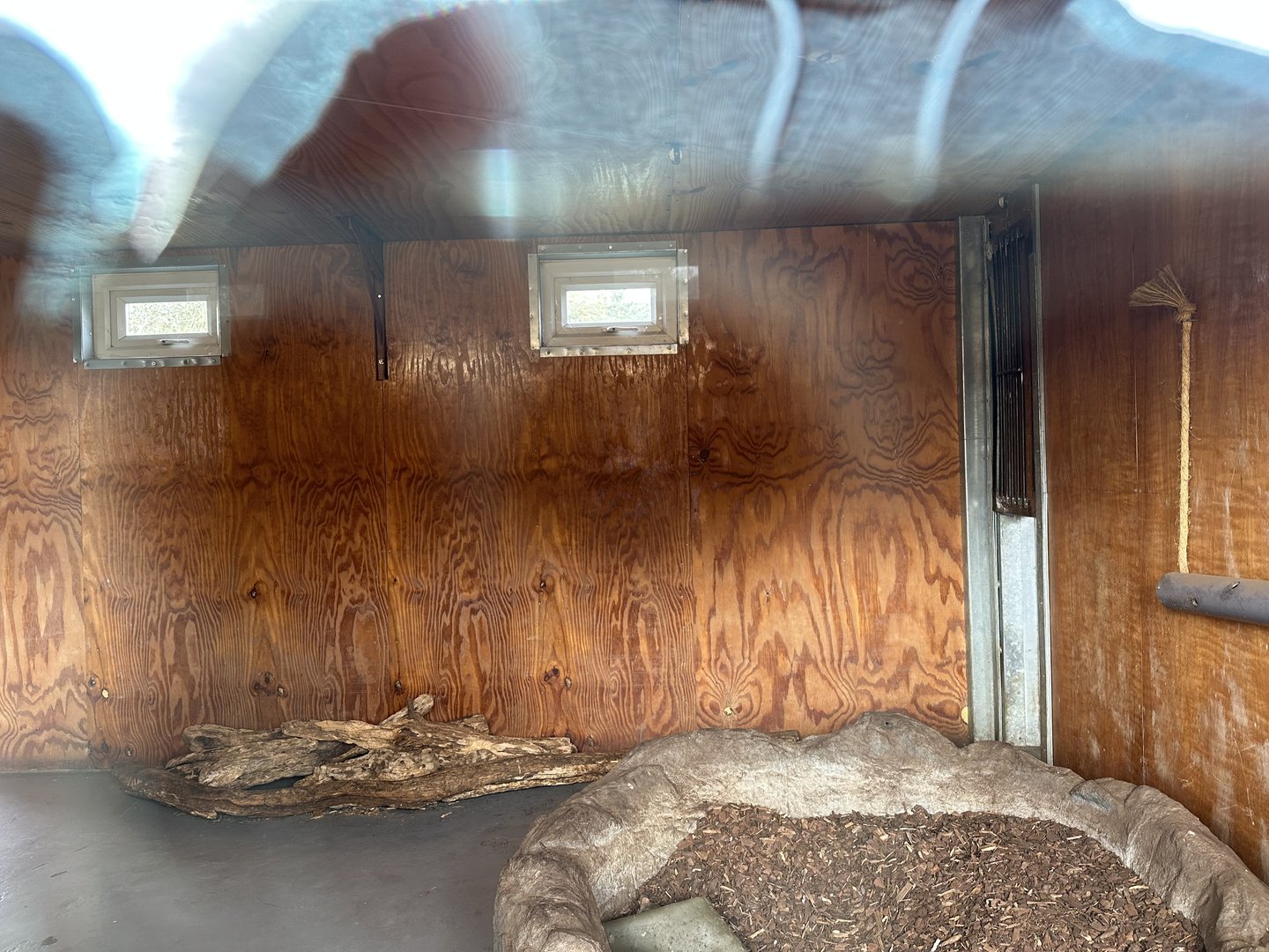 Giant Anteater Indoor Enclosure at Hamerton Zoo Park (October 2023)