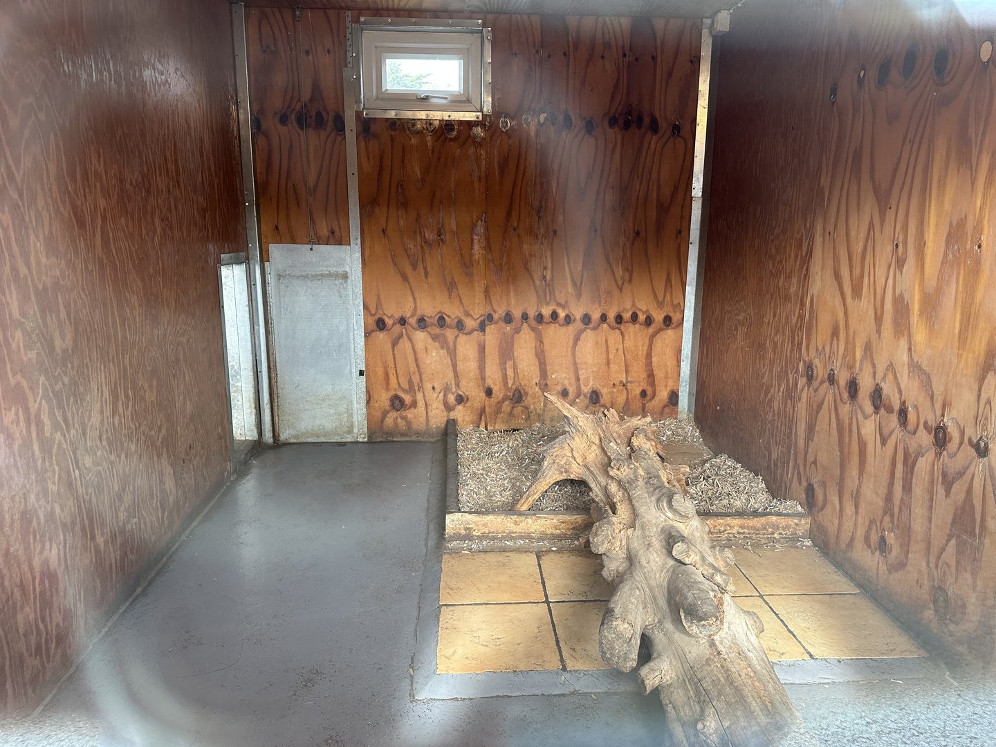 Giant Anteater Indoor Enclosure at Hamerton Zoo Park (October 2023)