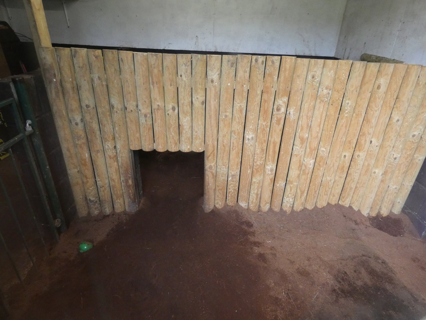 Giant anteater indoor enclosure