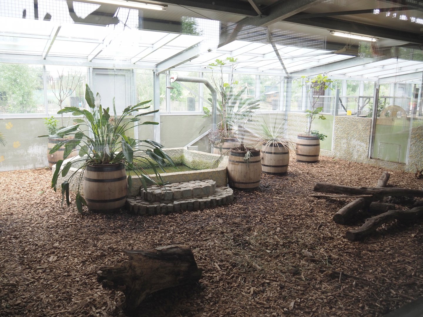 Giant anteater indoor exhibit, 2022-05-17