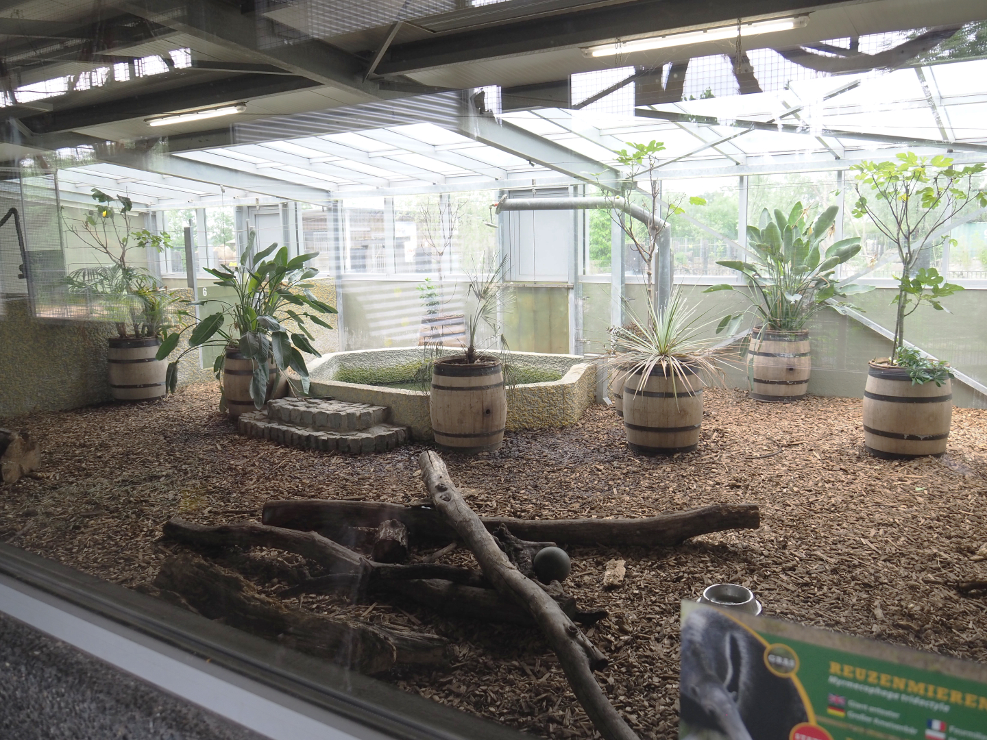 Giant anteater indoor exhibit, 2022-05-17
