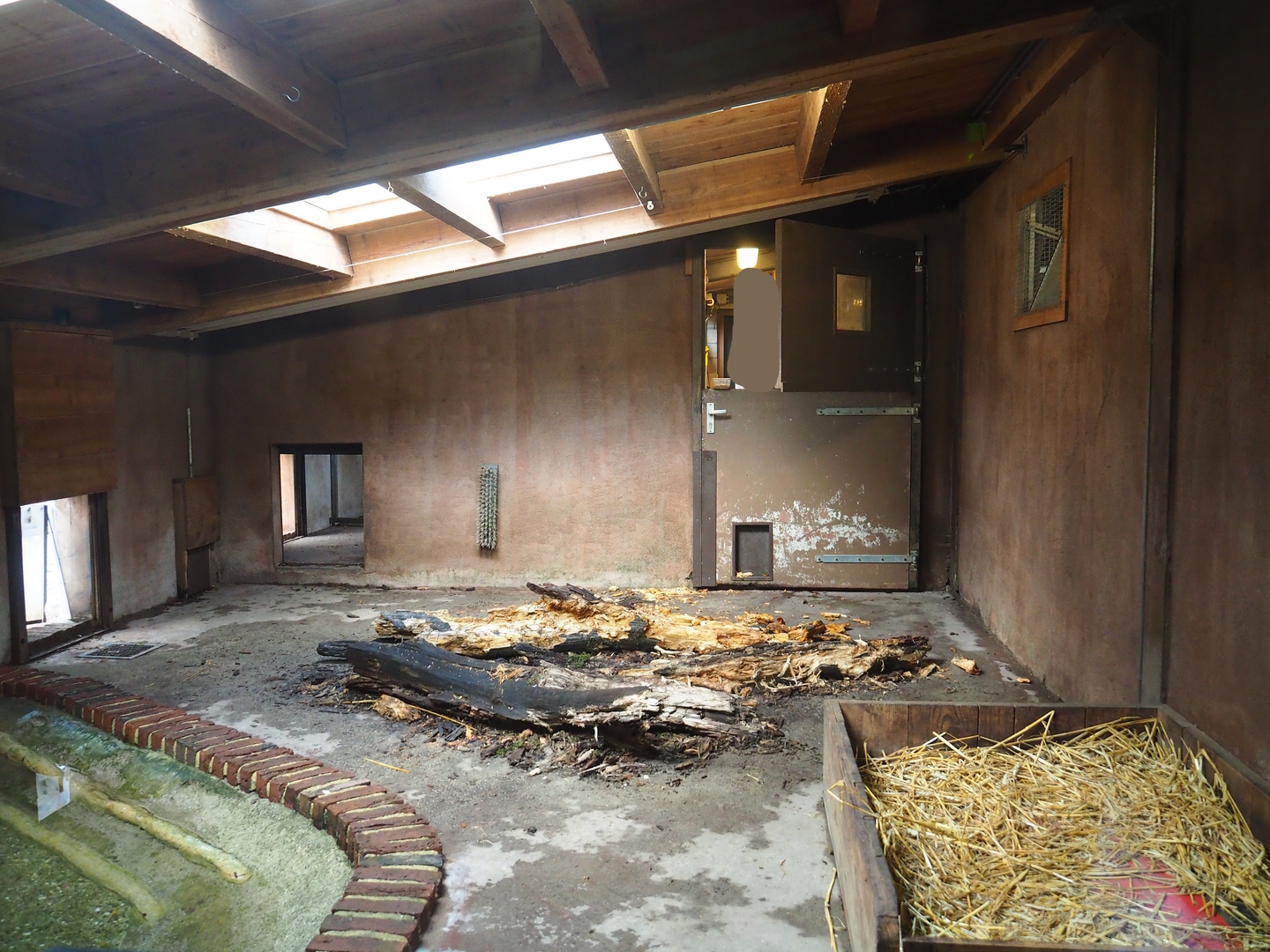 Giant anteater indoor exhibit, 2022-08-20