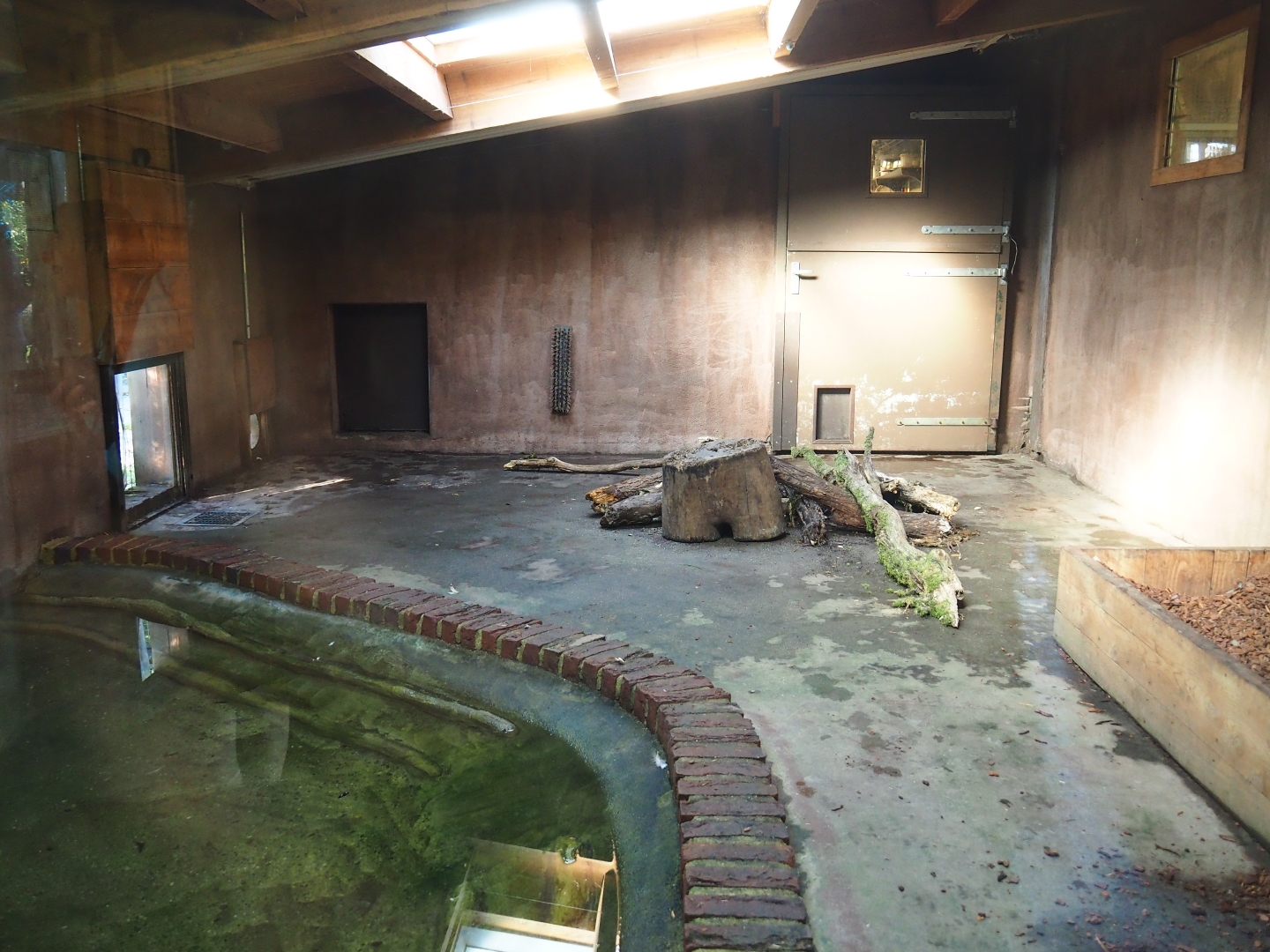 Giant anteater indoor exhibit (Oct 13th, 2018)