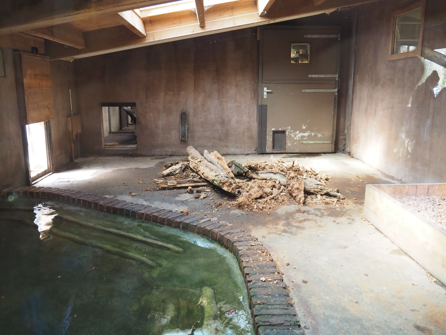 Giant anteater indoor housing, 2019-03-30