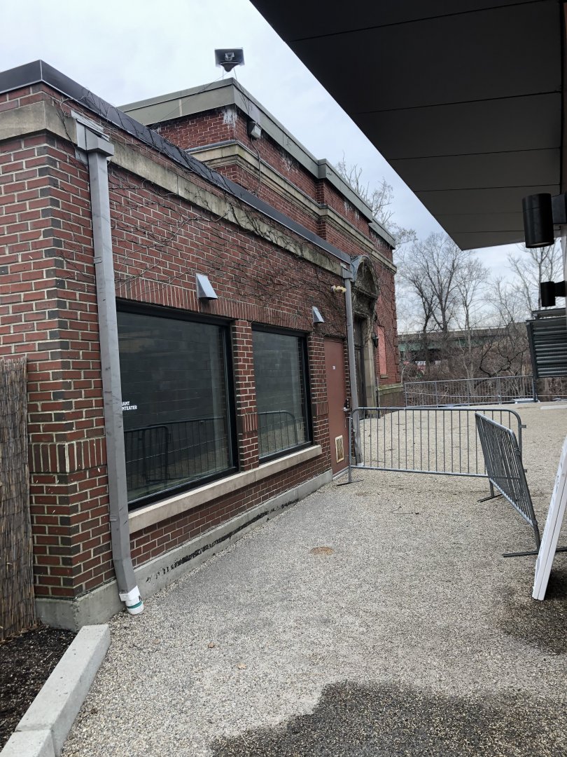 Giant Anteater Indoor Viewing - Feb, 2020