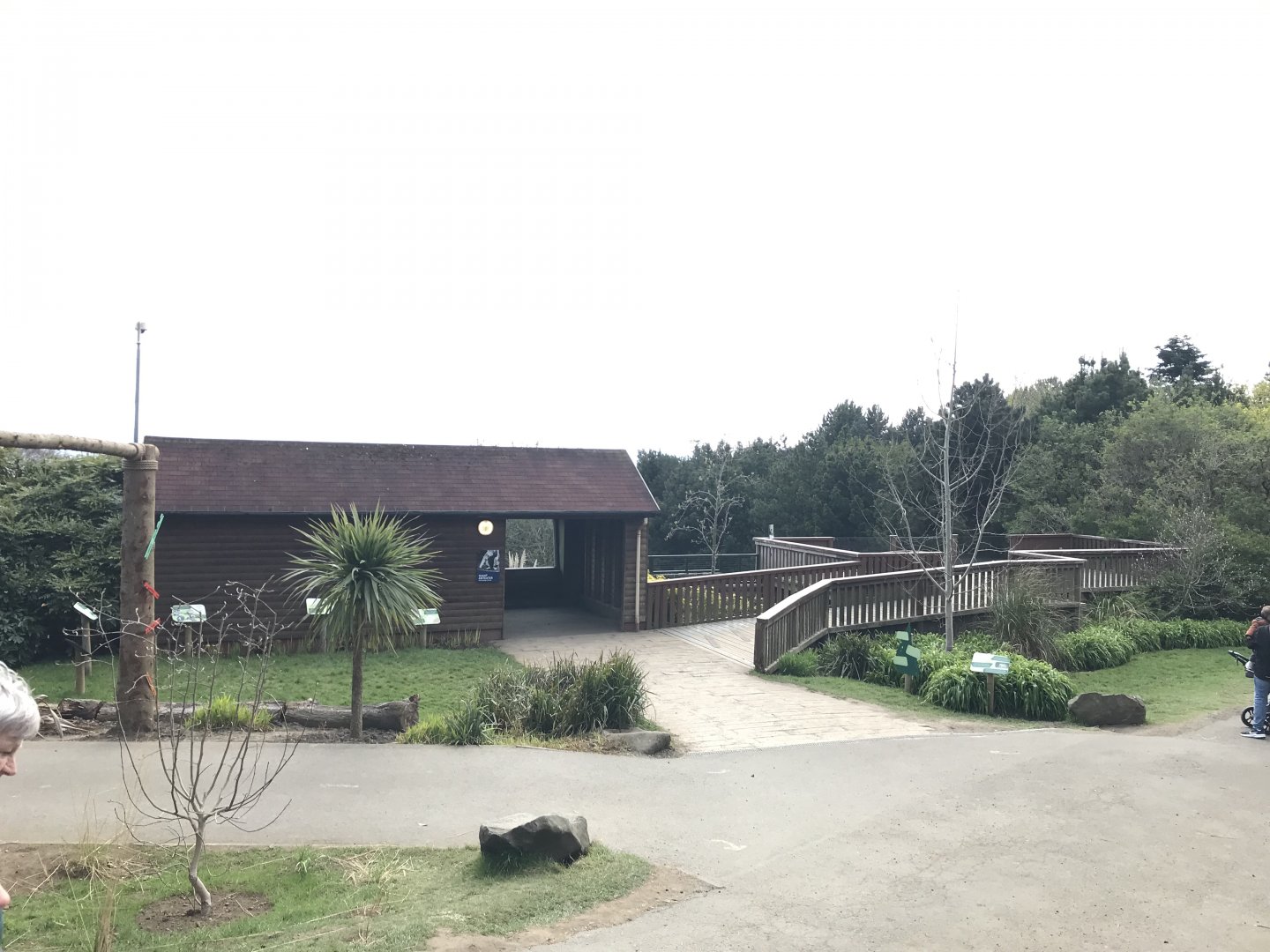 Giant anteater indoors and viewing area