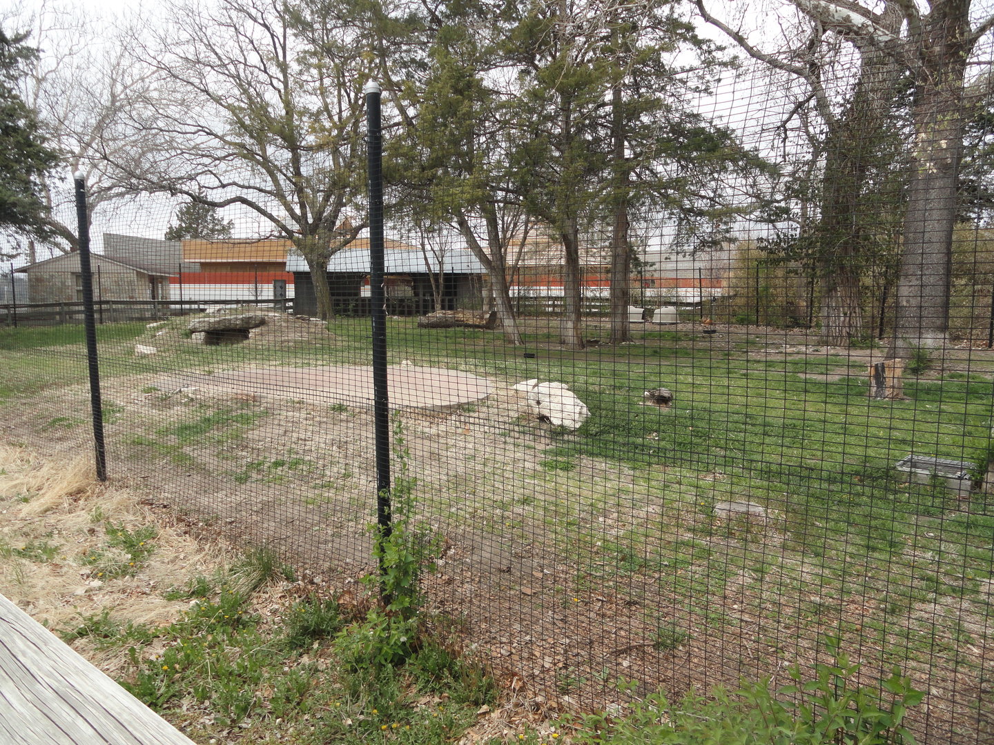 Giant Anteater & Maned Wolf Exhibit