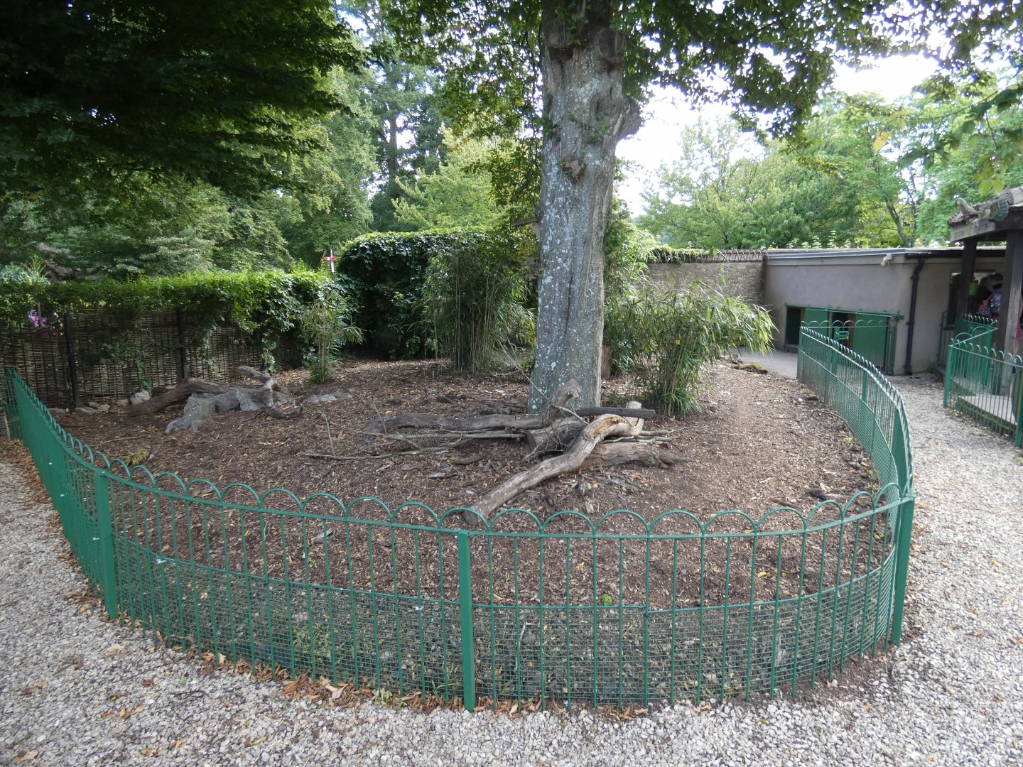 Giant Anteater & Mara outdoor enclosure