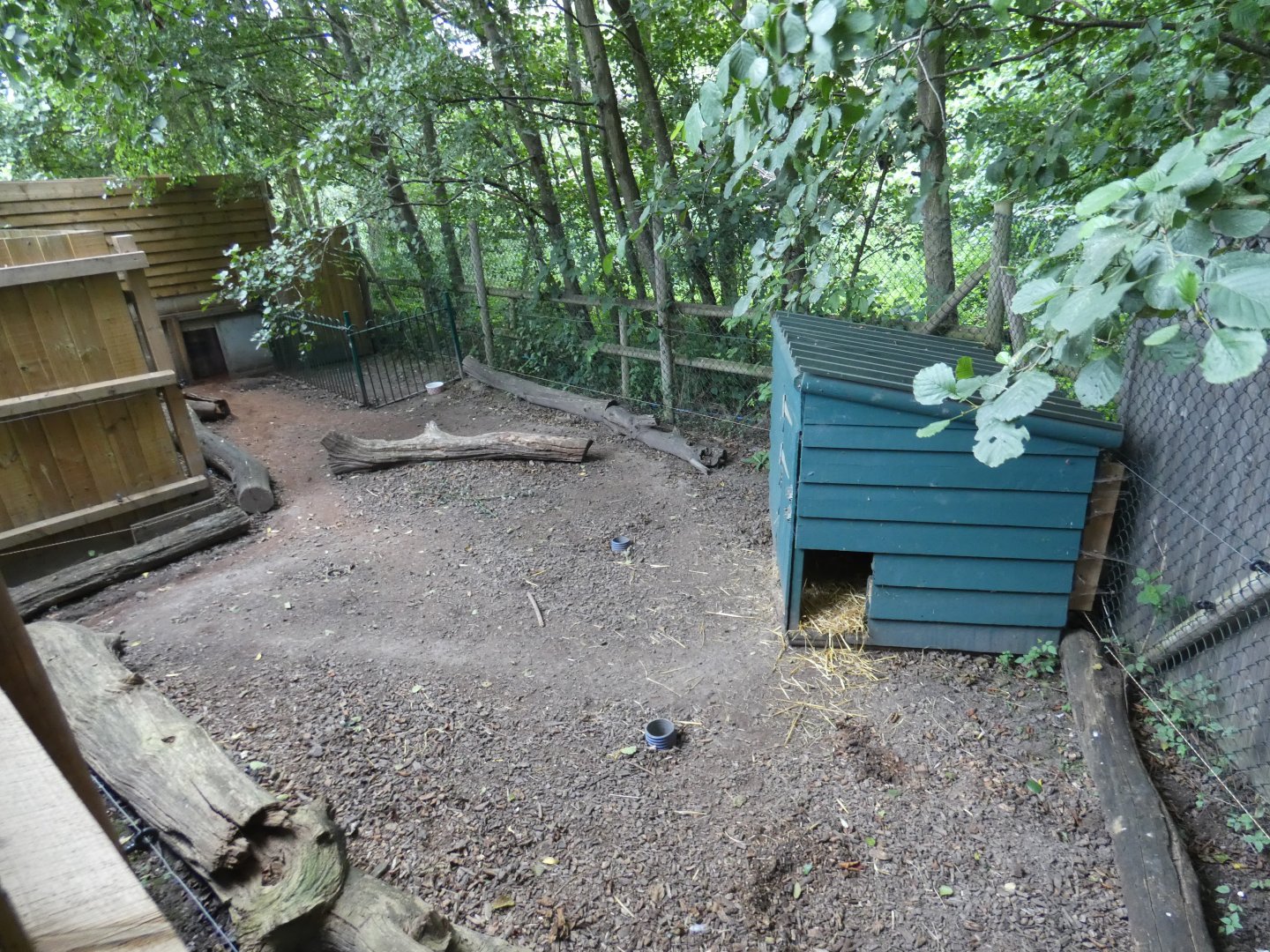 Giant anteater outdoor enclosure (2)