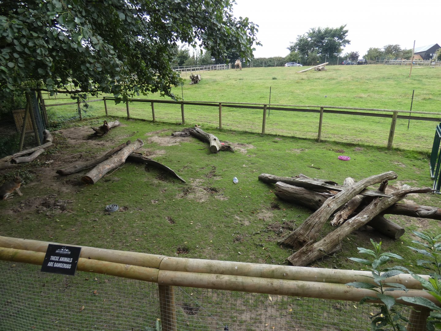 Giant anteater outdoor enclosure