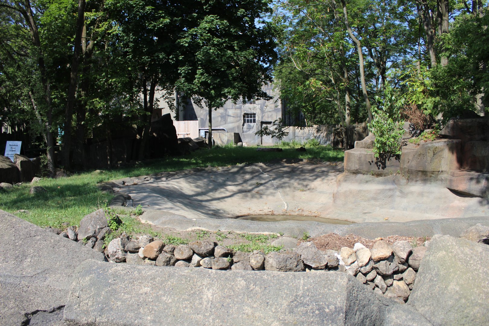 Giant Anteater Outdoor Exhibit