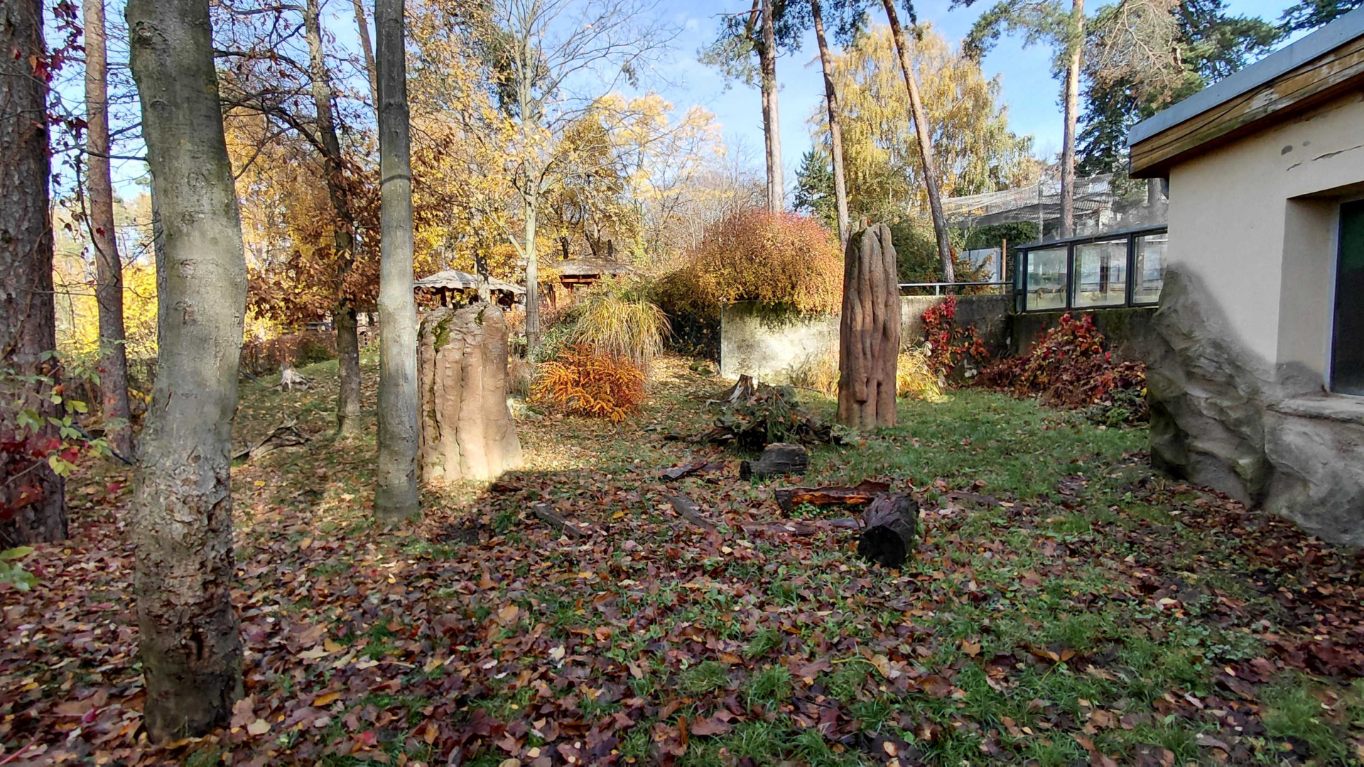 Giant anteater outdoor exhibit