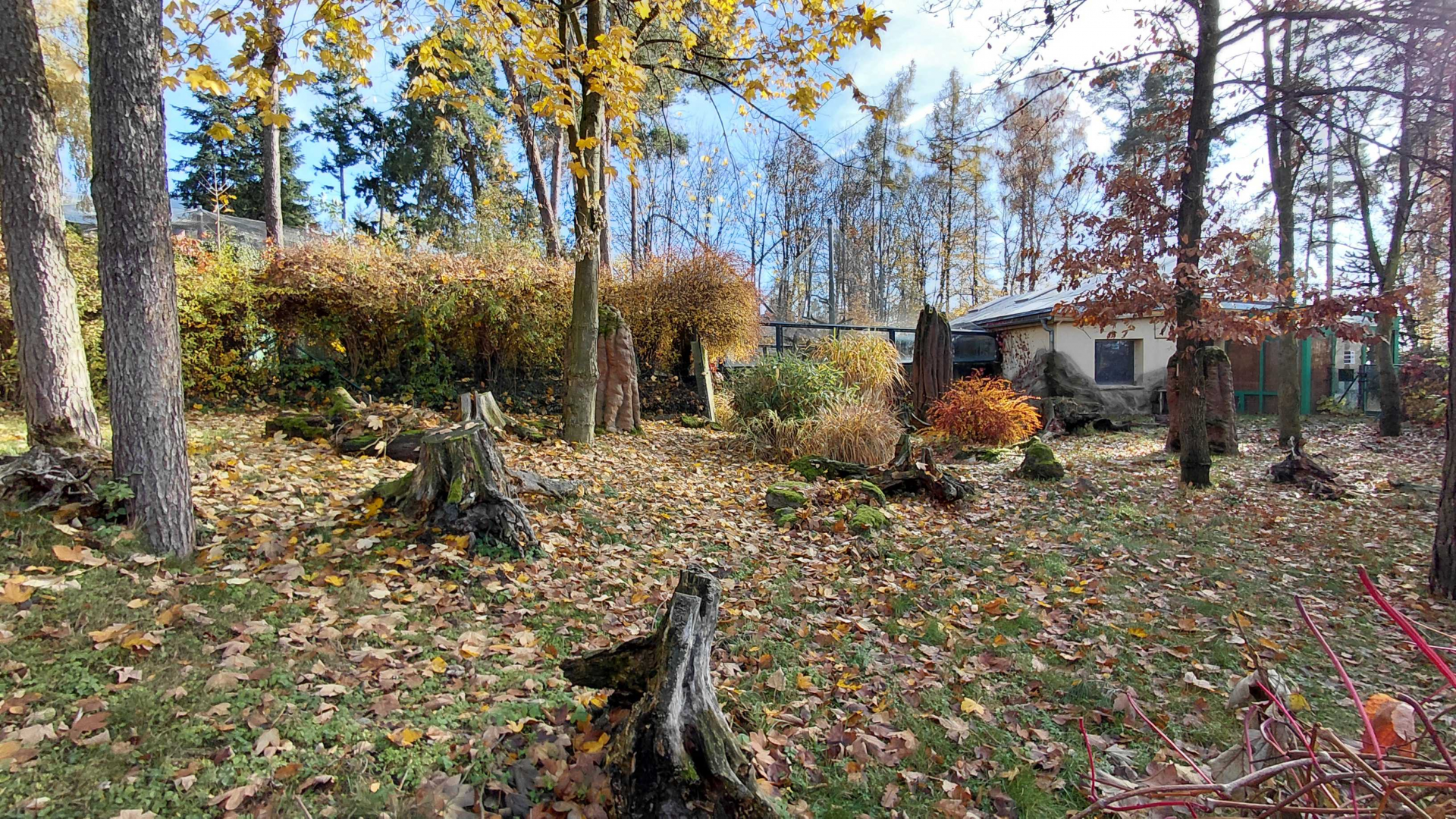 Giant anteater outdoor exhibit