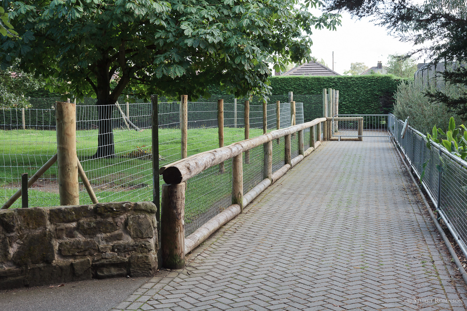 Giant Anteater Paddock - 16/08/2011