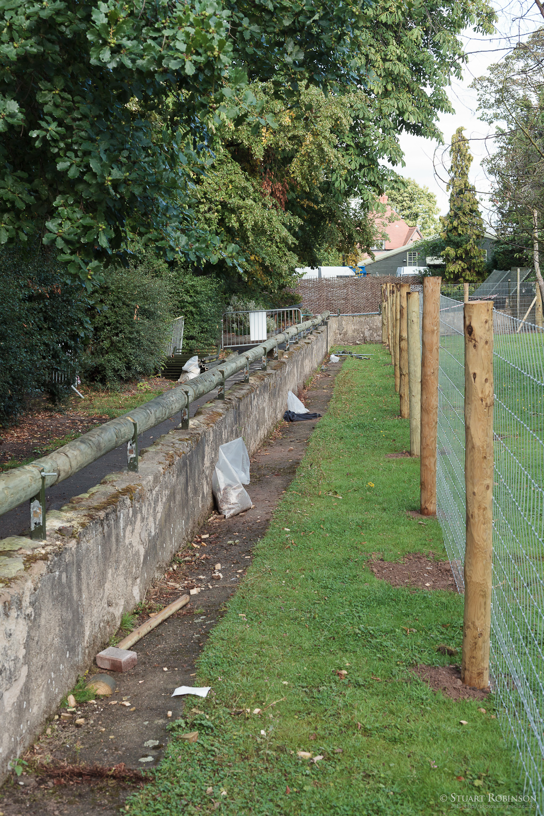 Giant Anteater Paddock - 16/08/2011