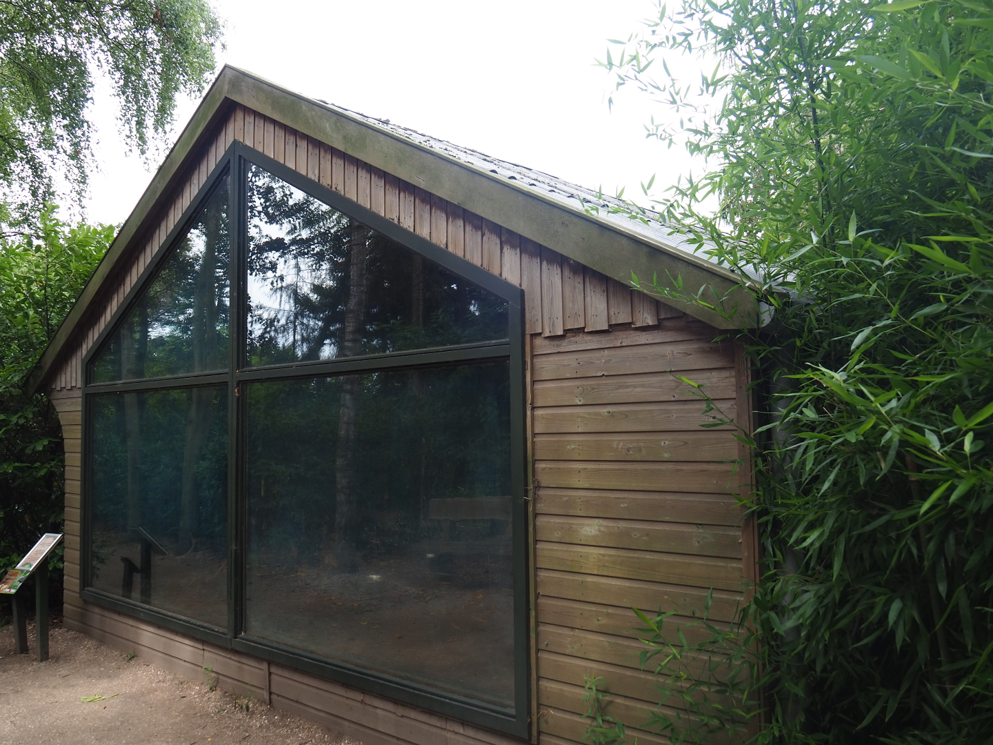 Giant anteater paddock, 2019-08-11