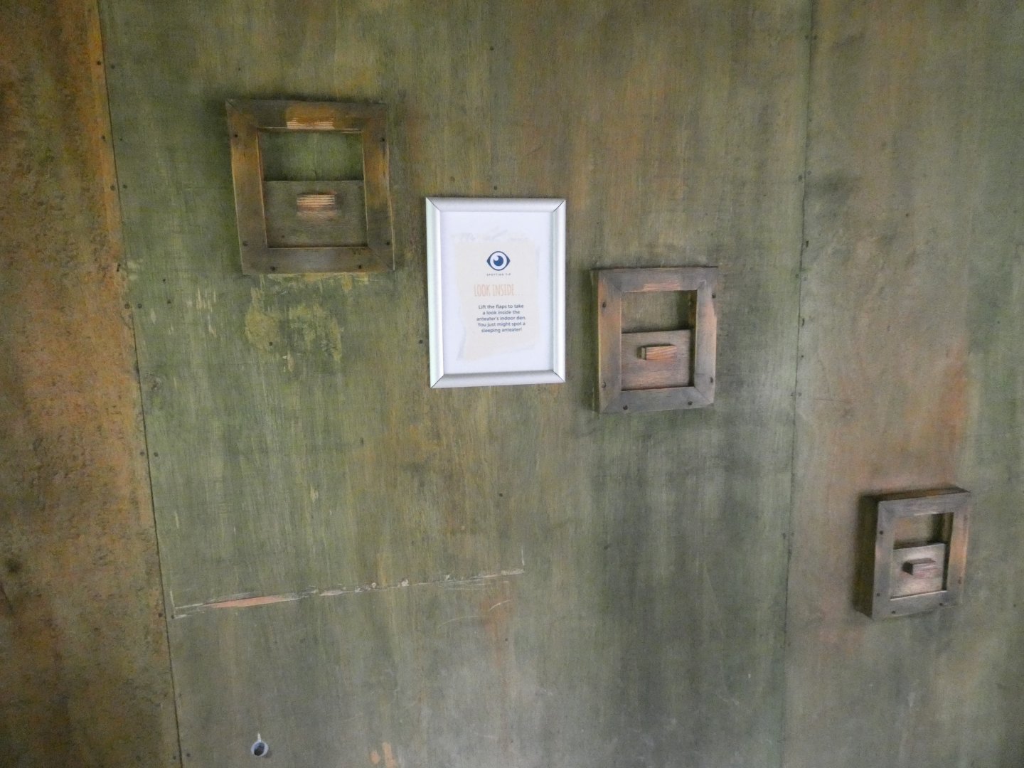 Giant anteater peep-hole viewing area