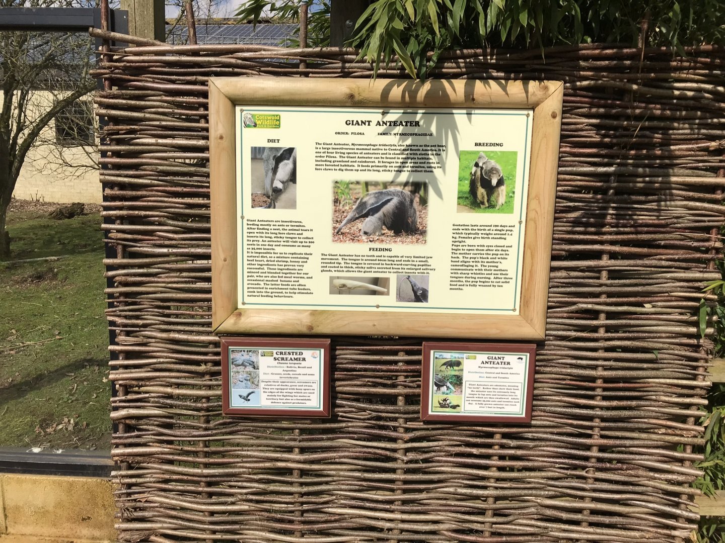 Giant anteater signage 250318