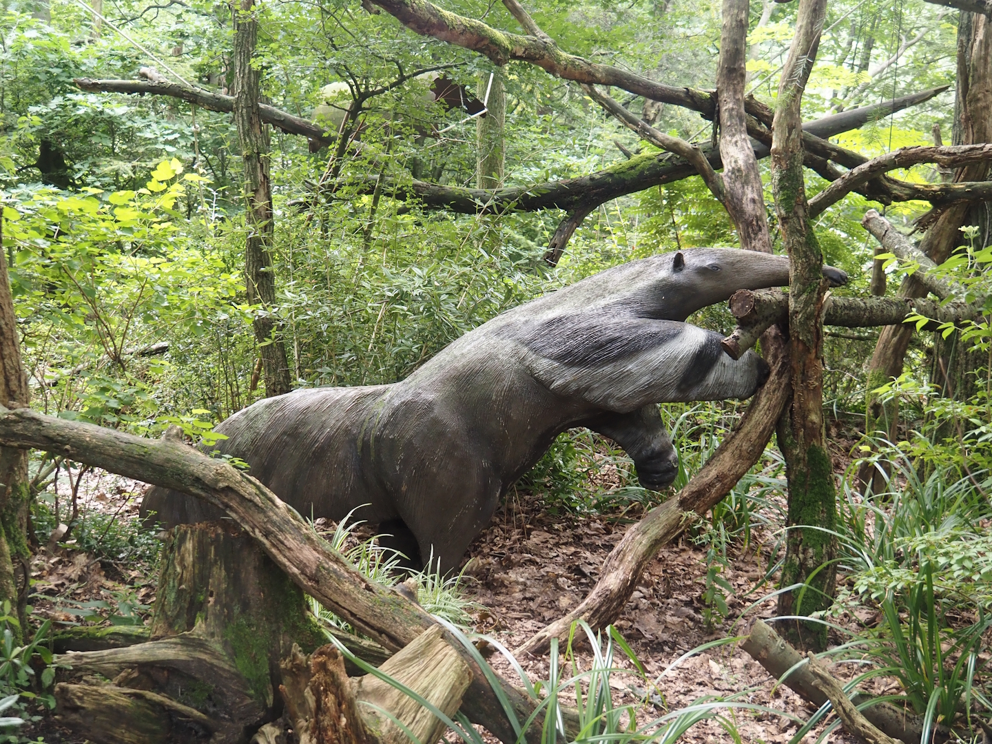Giant anteater statue, 2024-08-18