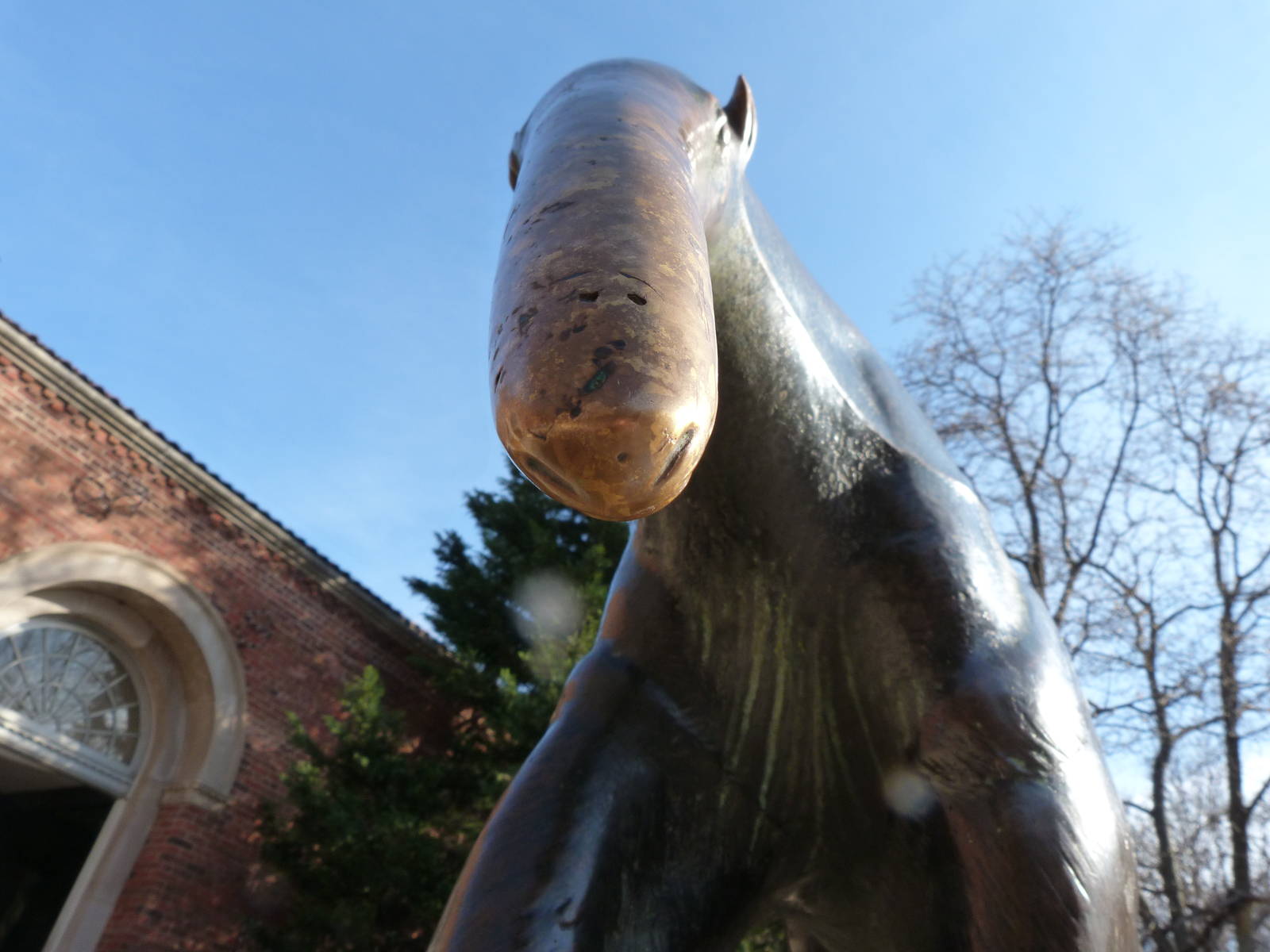 Giant Anteater Statue