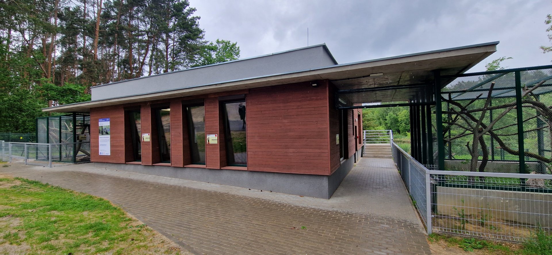 Giant Anteater/ Tamandua House