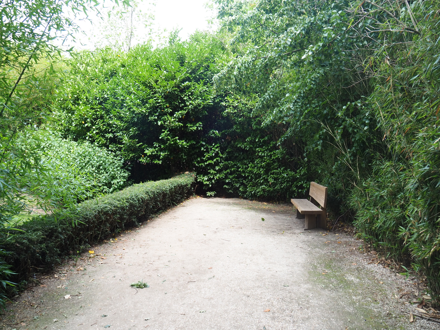 Giant anteater viewing area, 2019-08-11