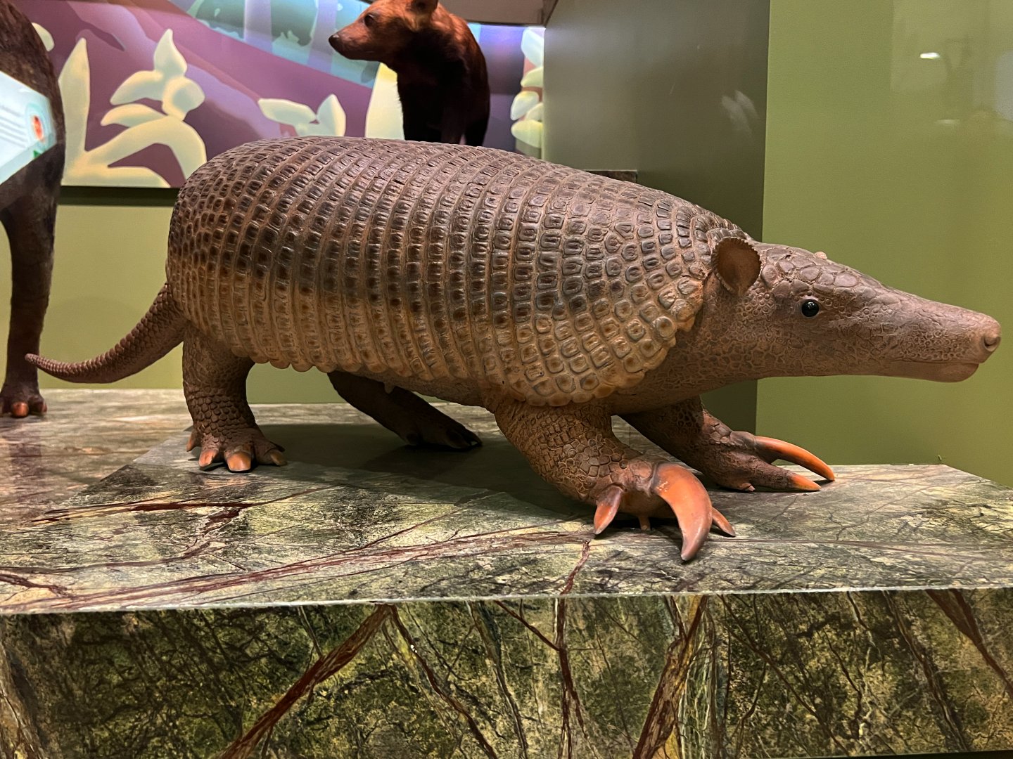 Giant Armadillo