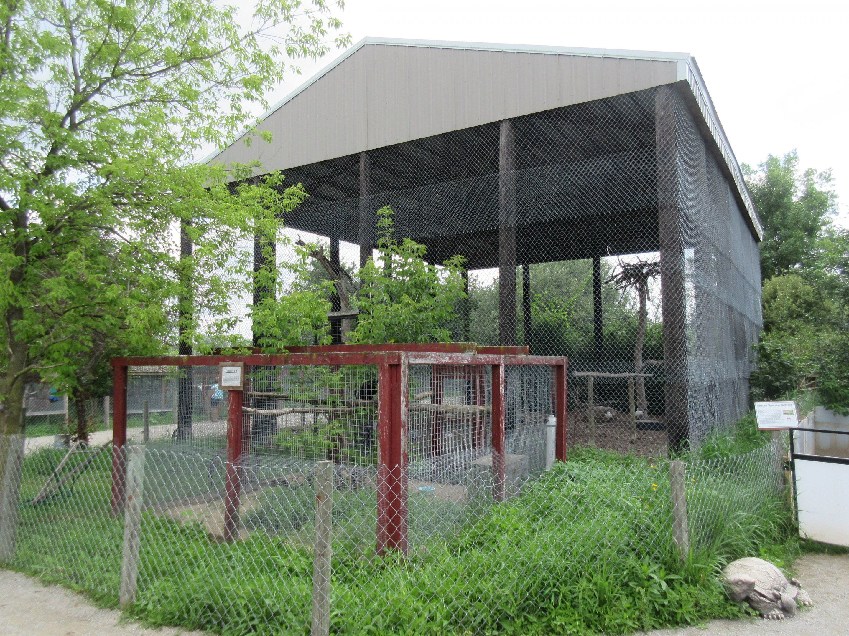 Giant Aviary (3 Species)