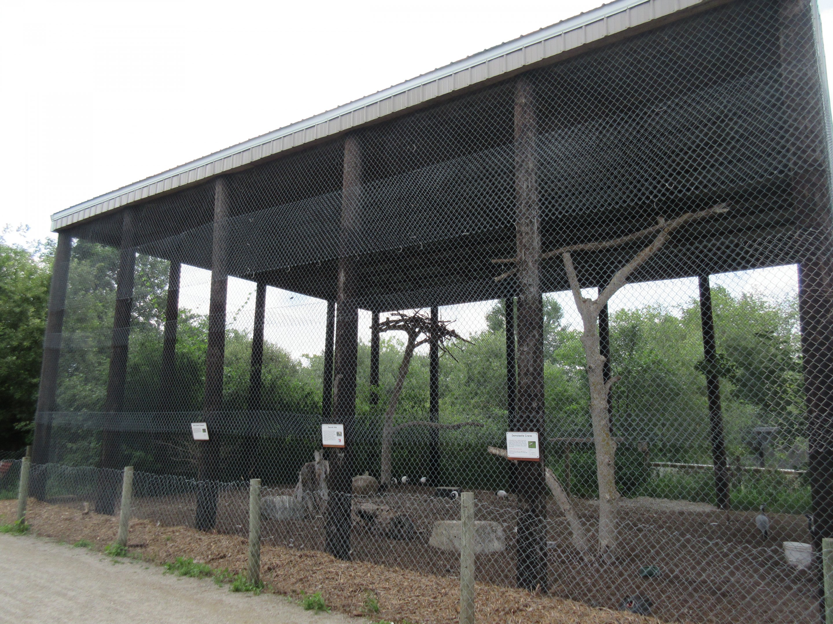 Giant Aviary (3 Species)