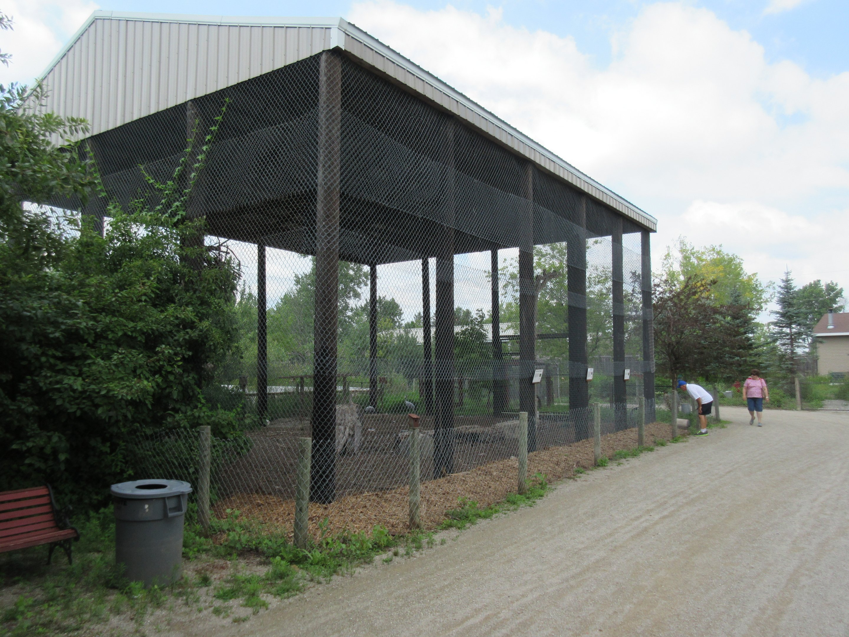 Giant Aviary (3 Species)