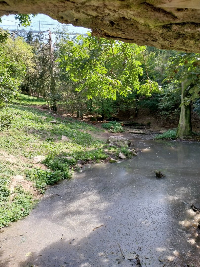 Giant aviary - First section